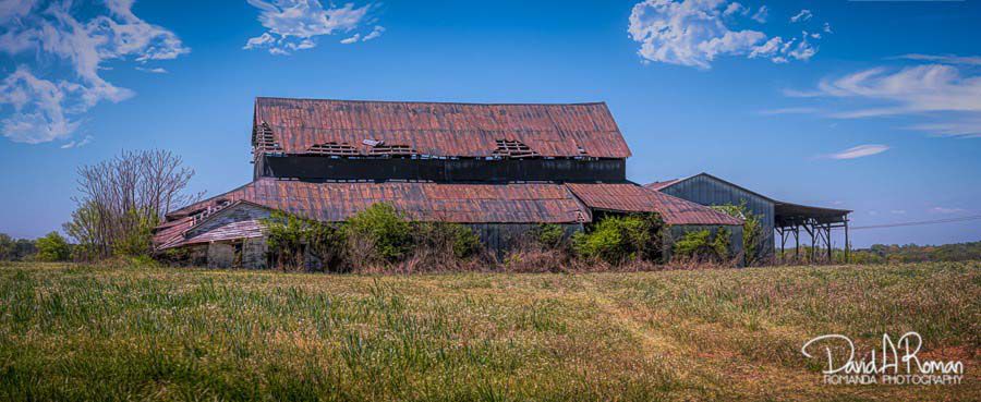 Spring on the farm